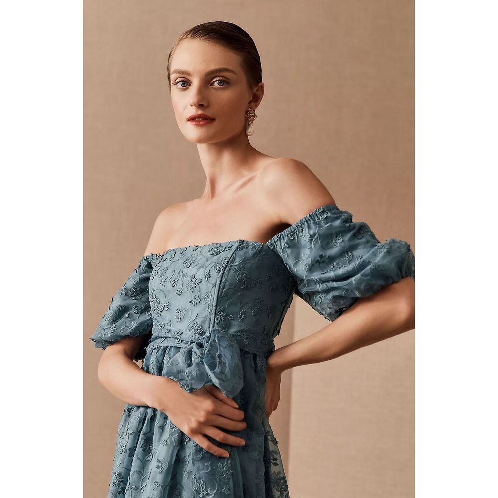 Anthropologie BHLDN Beatrice Organza Maxi Dress - Picture 5 of 10